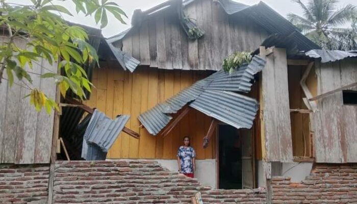 Rumah Warga Woitombo Rusak Tertimpa Pohon Tumbang, BPBD Koltim Turun Bantu