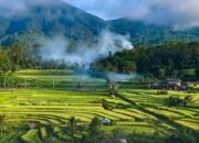 Bangga, 2 Desa di Indonesia Masuk Desa Wisata Terbaik di Asia 2024