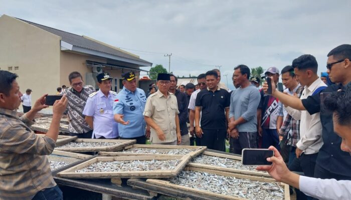 Mendes PDT Yandri Susanto Apresiasi Inovasi Desa Muara Tinobu