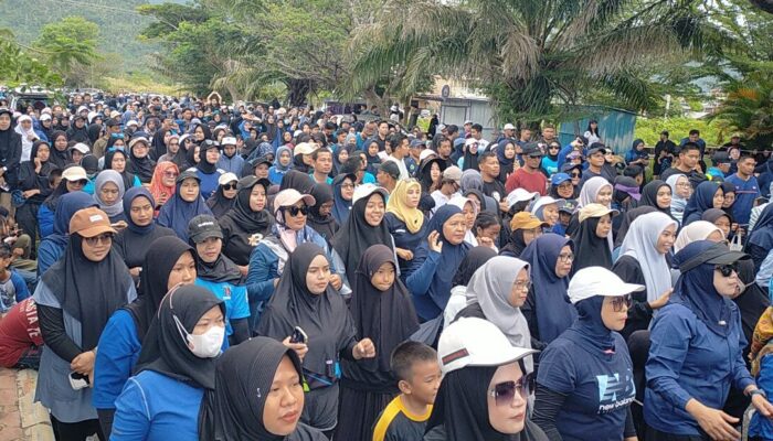 Perusahaan Tambang dan Perbankan Sponsori Jalan Santai dan Senam Bersama di Kolut