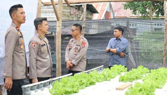 Itwasum Polri Juga Evaluasi Program Ketahanan Pangan Jajaran Polres Kolaka