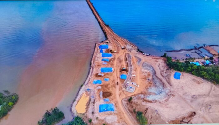 Ekosistem di Wilayah IUP PT Bumi Konawe Mineral di Konawe Utara Dinilai Kian Memburuk