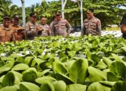 Polres Kolaka Tampilkan Inovasi Ketahanan Pangan Lewat Program SIGAP