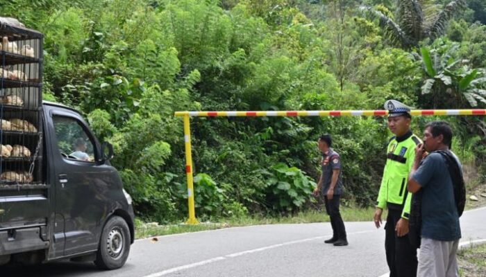 Dipasangi Portal, Mobil Melebihi Tinggi 2 Meter Tak Bisa Melintas Jalur Totallang-Latawaro Kolut