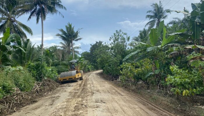 Ruas Jalan Lambandia–Aere dan Penanggo–Lere Jaya Diaspal Tahun Ini