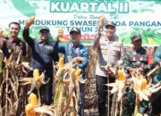 Polres Kolaka Gelar Panen Raya Jagung Serentak Kuartal II Dukung Program Swasembada Pangan