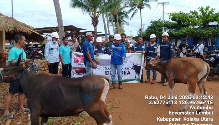 Merawat Harmoni, Menyebar Keberkahan: PT Riota Jaya Lestari Salurkan 35 Sapi Kurban Untuk Masyarakat Lingkar Tambang