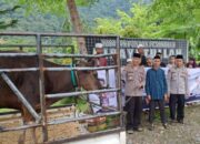 Polres Kolut Sumbang Seekor Sapi Untuk Ponpes Hidayatullah