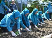 TP PKK Kolut Contohkan Cara Tekan Inflasi Mulai dari Pekarangan Rumah