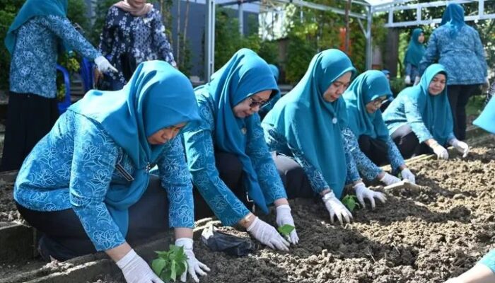 TP PKK Kolut Contohkan Cara Tekan Inflasi Mulai dari Pekarangan Rumah