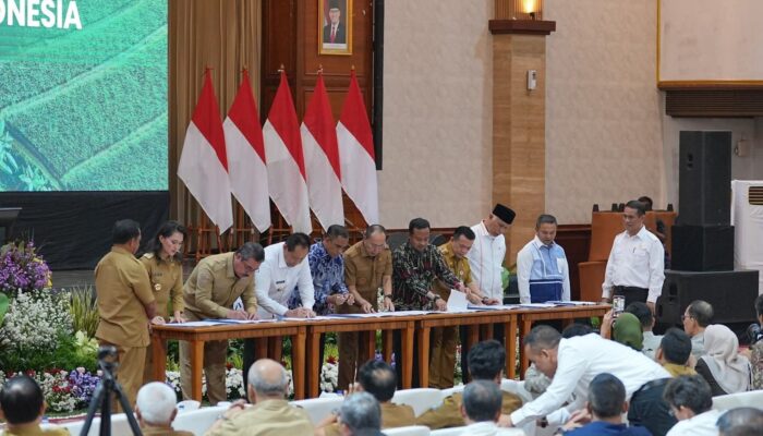 Hilirisasi Perkebunan, Gubernur ASR Dorong Pembangunan Pabrik Tebu di Konawe Selatan