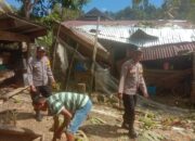 Diterjang Hujan Deras dan Angin Kencang, Tiga Rumah di Kolut Rusak Tertimpa Pohon Tumbang