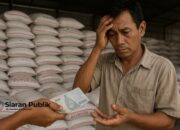 Kesulitan Ditebus Petani Penyebab Serapan Pupuk Subsidi di Kolaka Utara Rendah