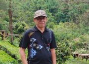 Status Kawasan Hutan di Luar Pulau Jawa Tak Menjamin Kesejahteraan Masyarakat