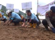 PT Riota Jaya Lestari Tanam 5.000 Mangrove di Desa Sulaho, Perkuat Komitmen Pelestarian Lingkungan