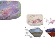 Indonesia Simpan Lukisan Gua Naratif Tertua di Dunia, Usianya Capai 51.200 Tahun