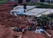 Tanah Longsor Terjang Bandung Barat, Delapan Orang Meninggal dan Puluhan Masih Hilang