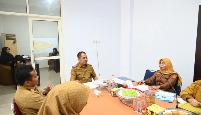 Pemkab Kolaka Utara Perkuat Komitmen Belanja Produk Dalam Negeri Lewat Diseminasi BPKP