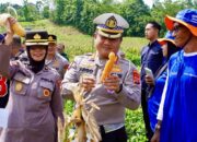 Polda Sultra Panen Hasil Pertanian Kuartal I di Lahan Binaan Polri Kendari
