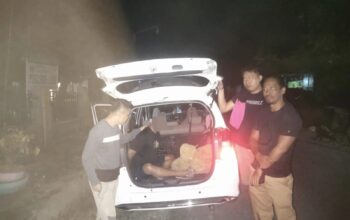 Polres Kolaka Utara Tangkap Petani dengan 2,90 Gram Sabu di Ngapa