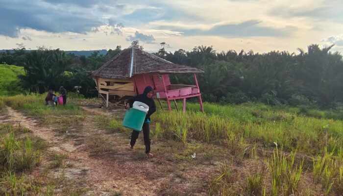 PT Marketindo Selaras Diduga Gusur Paksa dan Bakar Rumah Warga, JPLK Lontarkan Kecaman