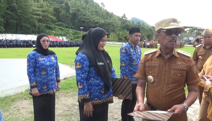 Ultimatum Bupati Kolaka Utara: PPPK Paruh Waktu Harus Pilih, ASN atau Aparat Desa