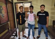 Seorang PPPK Paruh Waktu di Kolaka Utara Ditangkap Polisi Usai Diduga Curi 50 Kardus Racun Tanaman