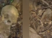 Geger! Tengkorak Manusia Ditemukan di Hutan Amamotu Kolaka