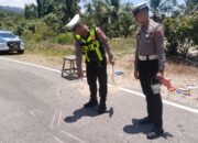 Kecelakaan di Jalan Trans Sulawesi Kolut, Satu Pengendara Tewas