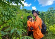 Lima Hari Dicari Tim SAR, Lansia di Buton Selatan Hilang Tanpa Jejak di Kebun