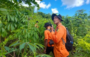 Lima Hari Dicari Tim SAR, Lansia di Buton Selatan Hilang Tanpa Jejak di Kebun