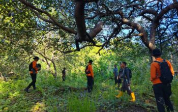 Lansia di Buton Selatan Hilang Misterius Saat Mengantar Ikan, Pencarian Resmi Dihentikan
