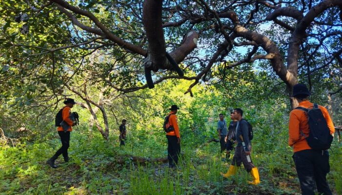 Lansia di Buton Selatan Hilang Misterius Saat Mengantar Ikan, Pencarian Resmi Dihentikan