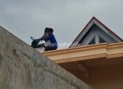 Dramatis! Damkar Evakuasi Wanita ODGJ dari Lantai Tiga Bangunan di Kolaka Utara