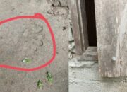 Warga Kolut Jadi Korban Percobaan Pemerkosaan OTK, Sempat Dicekik dan Diancam Dibunuh