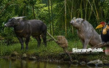 BRIN Usulkan Lanskap Sombori–Matarombeo dan Tangkelemboke–Mekongga di Sulawesi Tenggara Jadi Taman Nasional dan Warisan Dunia