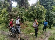 Sempat Hadapi Persoalan Keluarga, Warga Kolaka Utara Dilaporkan Hilang di Kebun