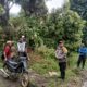 Sempat Hadapi Persoalan Keluarga, Warga Kolaka Utara Dilaporkan Hilang di Kebun