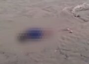 Bocah Ditemukan Meninggal di Muara Sungai Punggaloba, Warga Kendari Geger