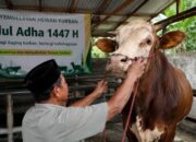Banyak yang Keliru ? Ini Hukum Kurban untuk Orang yang Sudah Meninggal Menurut Empat Mazhab dan Fatwa Muhammadiyah