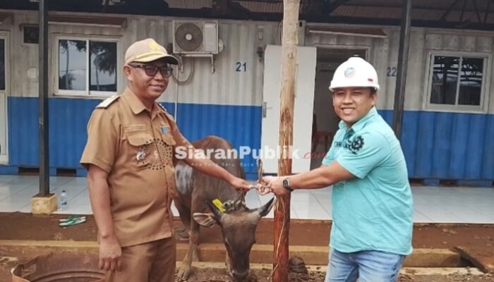 PT Riota Jaya Lestari Salurkan 89 Sapi Kurban, Camat: Alhamdulillah