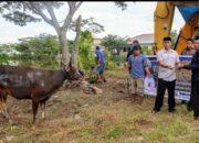 Polres Kolaka Utara Sembelih 15 Sapi Kurban, 500 Kupon Daging Dibagikan ke Masyarakat