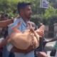 Protes Kurban Iduladha di India, Kelompok Hindu Radikal Bawa Babi ke Kompleks Perumahan Muslim