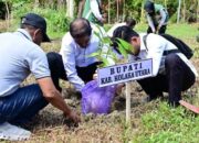 Pemda Kolut Target 8.200 hektare Ditanami Kakao Tahun Ini 