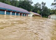 Banjir Sekadau Rendam 1.560 Rumah, Warga Dievakuasi ke Tempat Aman