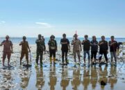 Garis Pantai Kolaka Utara Terus Menyusut, Komunitas Lentera Tanam Mangrove