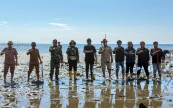 Garis Pantai Kolaka Utara Terus Menyusut, Komunitas Lentera Tanam Mangrove