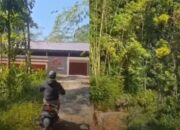Viral! Bangunan Kopdes Merah Putih Berdiri di Tengah Kawasan Hutan jadi Perbincangan Warganet
