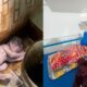 Fakta-Fakta Bayi Baru Dilahirkan Dibuang Ibunya di Toilet Masjid Kolaka Utara