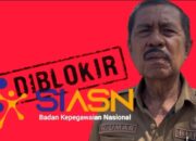 SIASN Diblokir, Bupati Kolaka  Utara Semprot BKN